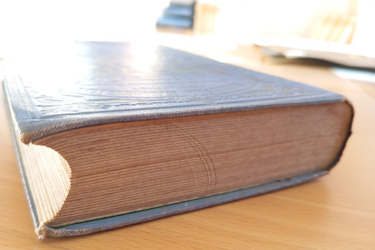 Principali costituzioni straniere, Volume 1, Livio Minguzzi, Barbera, 1899