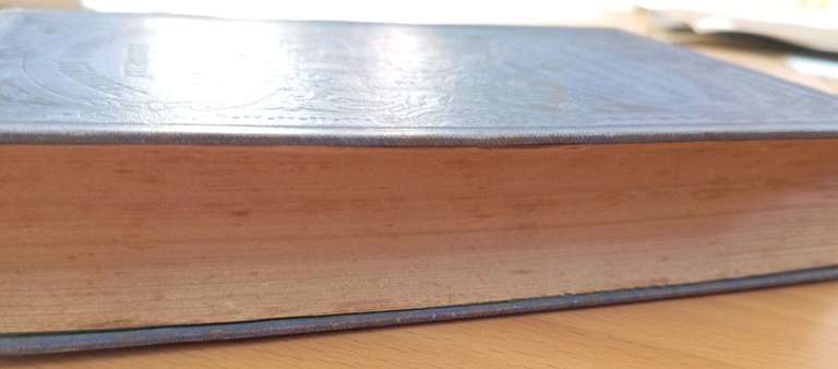 Principali costituzioni straniere, Volume 1, Livio Minguzzi, Barbera, 1899