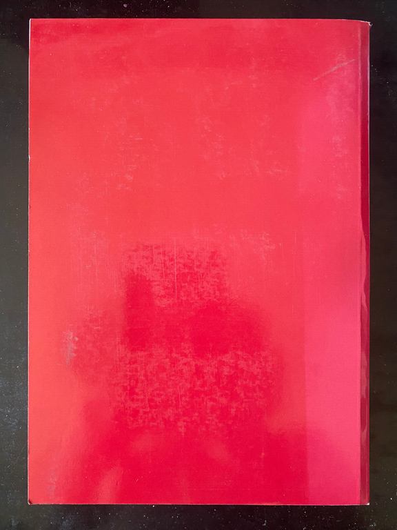 Puf. Quarant'anni di Poesie d'angolo di Ugo Piazza, Perugia | Immagine Gallery 5