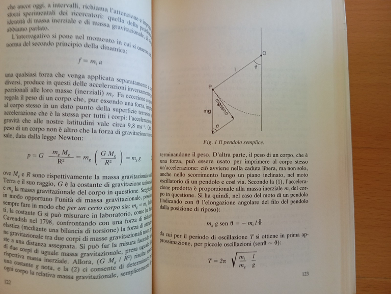 Punti cardinali. Dal mondo della fisica al mondo della vita, … | Immagine Gallery 10