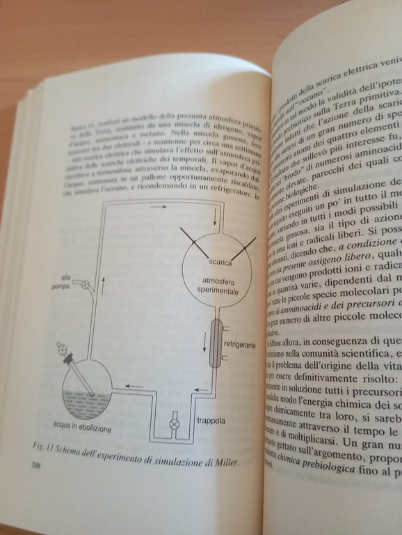 Punti cardinali. Dal mondo della fisica al mondo della vita, … | Immagine Gallery 12