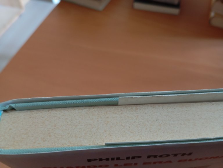 Quando lei era buona, Philip Roth, Einaudi, 2012 | Immagine Gallery 4