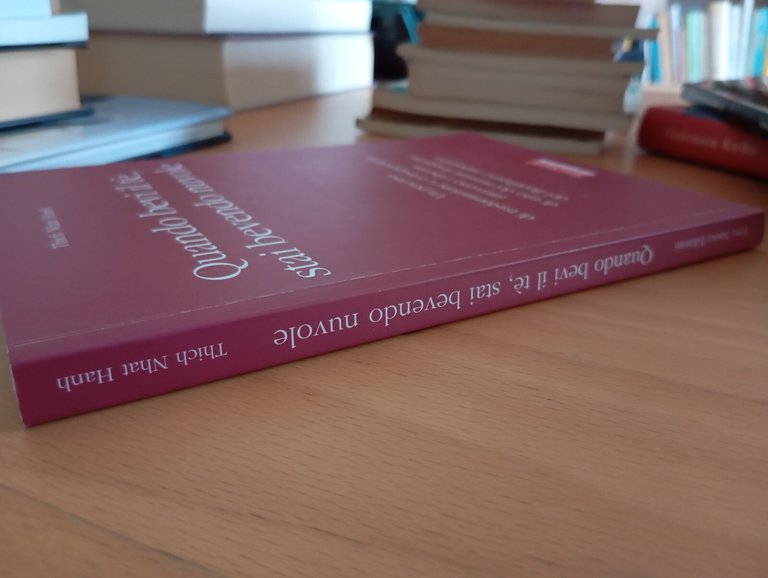 quando bevi il tè, stai bevendo nuvole, Tich Nhat Hanh, …