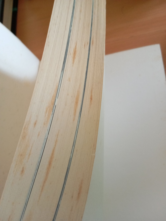 Quel giorno smettemmo di ridere, Fatty Arbuckle, David Yallop, Pironti, … | Immagine Gallery 9