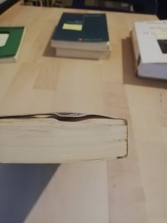 Quidditates. Quasi un dizionario filosofico, W. V. Quine, 1991, Garzanti | Immagine Gallery 11