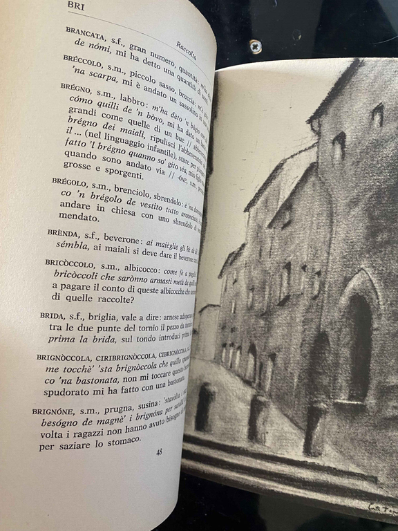 Raccolta di voci perugine, Luigi Catanelli