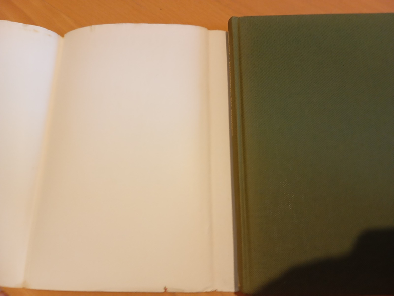 Raffaele, Luciano De Crescenzo, Mondadori, 1978 | Immagine Gallery 6