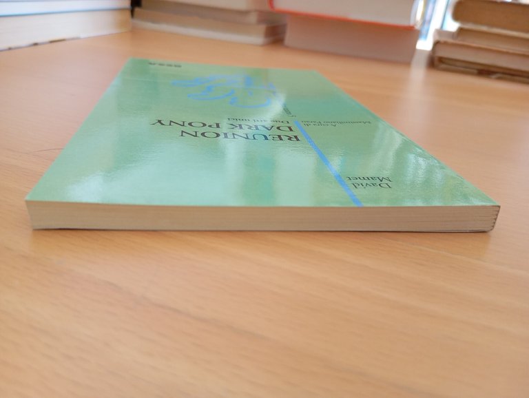 Reunion - Dark pony, David Mamet, Besa | Immagine Gallery 6