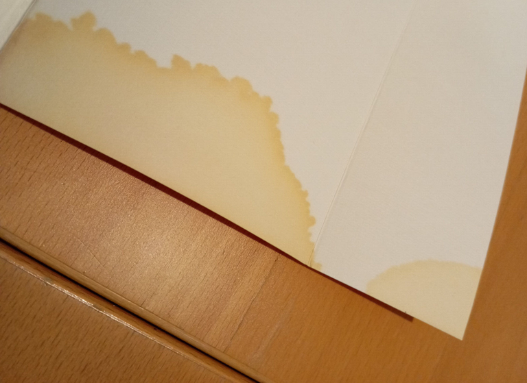 Riconoscimento e disprezzo, Axel Honneth, Rubettino, 1993 | Immagine Gallery 7