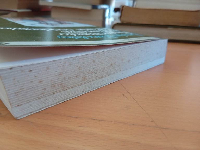Rinascimento e rinascenze nell'arte occidentale Erwin Panofsky, Feltrinelli 1991 | Immagine Gallery 5