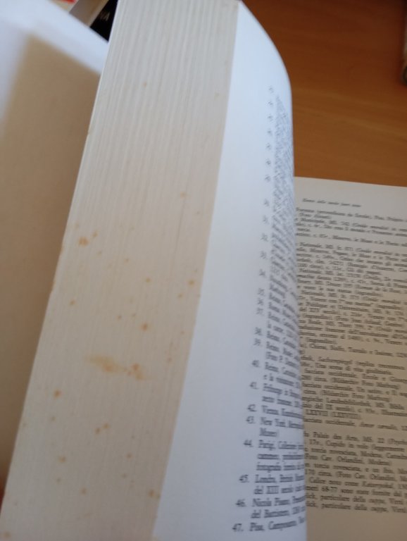 Rinascimento e rinascenze nell'arte occidentale Erwin Panofsky, Feltrinelli 1991 | Immagine Gallery 7