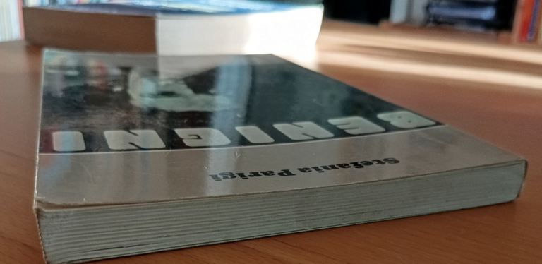 Roberto Benigni, Stefania Parigi, Edizioni Scientifiche Italiane, 1988 | Immagine Gallery 3