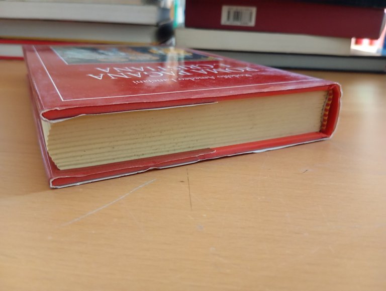 Roma pagana e cristiana, R. A. Lanciani, Newton compton, 2004 | Immagine Gallery 3
