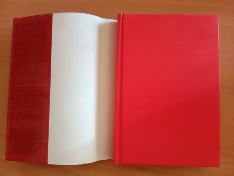 Roma pagana e cristiana, R. A. Lanciani, Newton compton, 2004 | Immagine Gallery 6