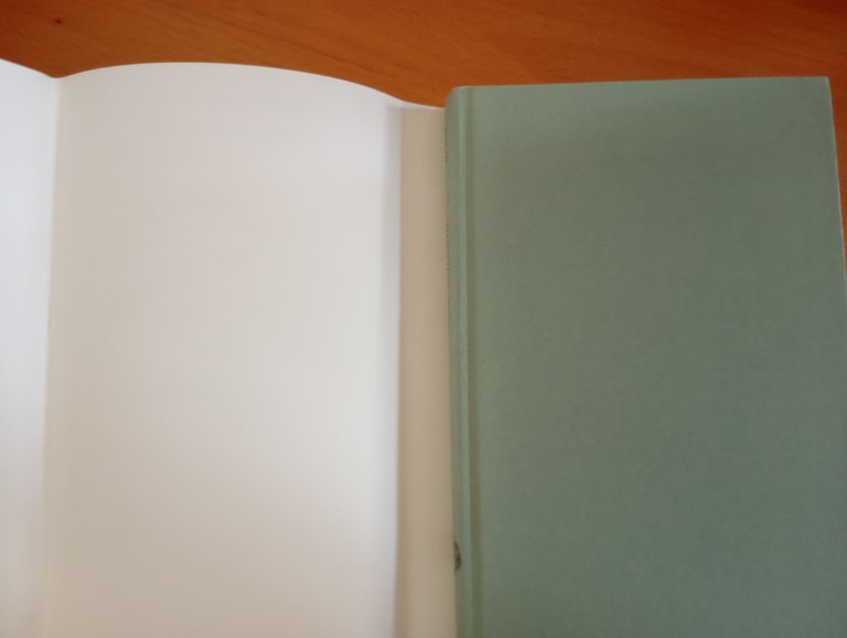 Running dog, Don Delillo, Einaudi, 2005, prima edizione supercoralli