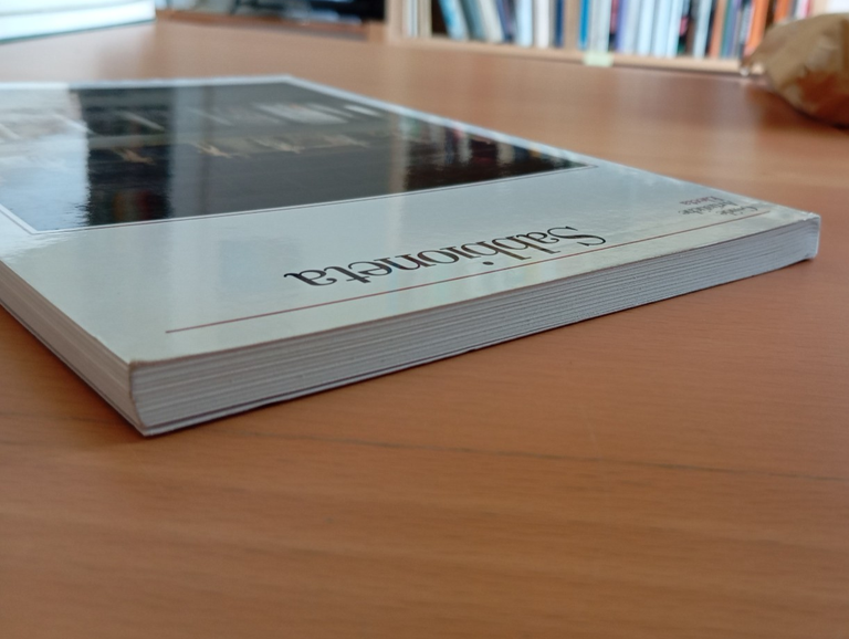 Sabbioneta. Guide artistiche Electa, 1991