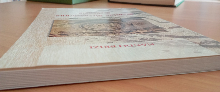 Sanctus Bernardius Senesis, Nando Brizi, 2009 | Immagine Gallery 9