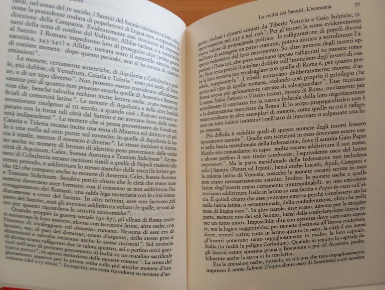 Sannio e i Sanniti, E. T. Salmon, Einaudi, 1985 | Immagine Gallery 11