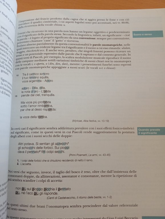 Saper scrivere. Manuale pratico, Angelo Roncoroni, 2013