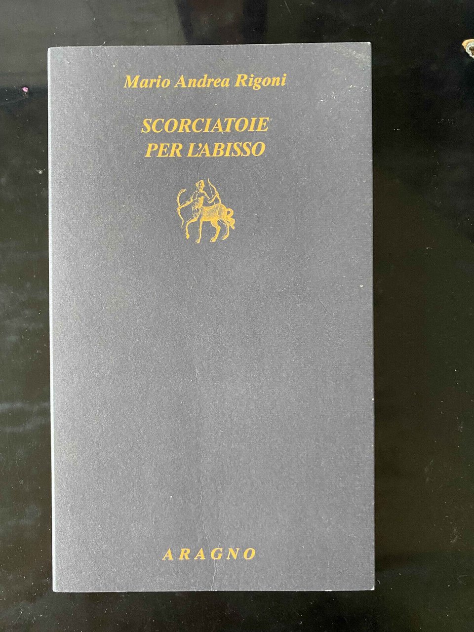 Scorciatoie per l'abisso, Mario Andrea rigoni, Aragno, 2015, fuori catalogo