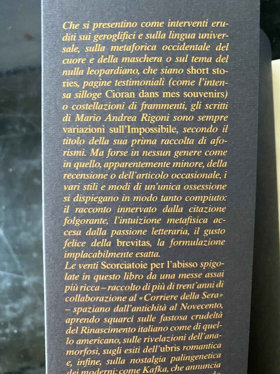 Scorciatoie per l'abisso, Mario Andrea rigoni, Aragno, 2015, fuori catalogo