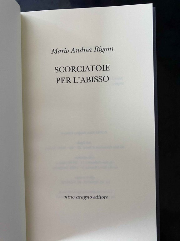 Scorciatoie per l'abisso, Mario Andrea rigoni, Aragno, 2015, fuori catalogo
