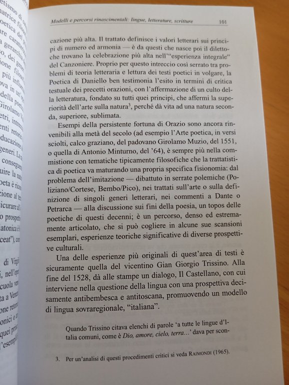 Scrittura e società, Giuliana Fiorentino, Aracne, 2007