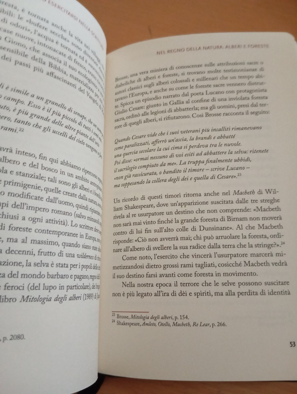 Scrivere la natura, Sapienza - Michieli, Zanichelli, 2012, Fuori catalogo