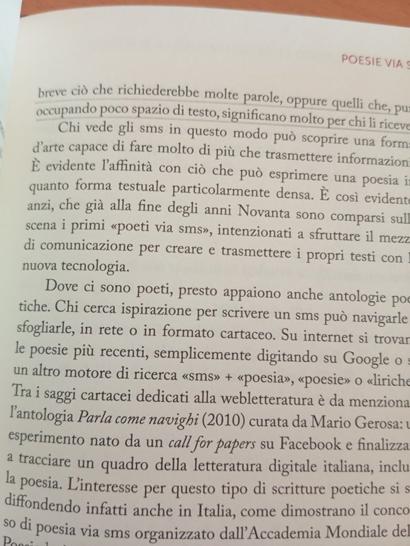 Scrivere nella rete, Stephan Poromka, Zanichelli, 2012 | Immagine Gallery 9