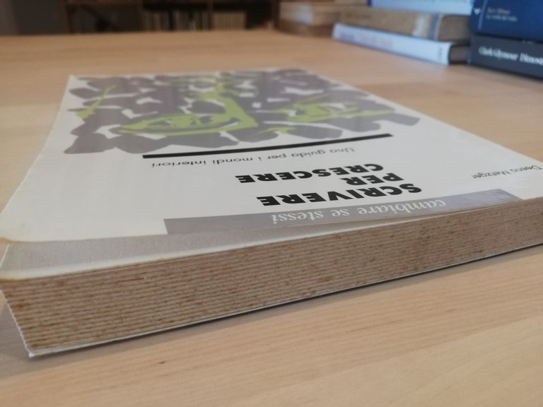 Scrivere per crescere, Deena Metzger, Astrolabio, 1994 | Immagine Gallery 6