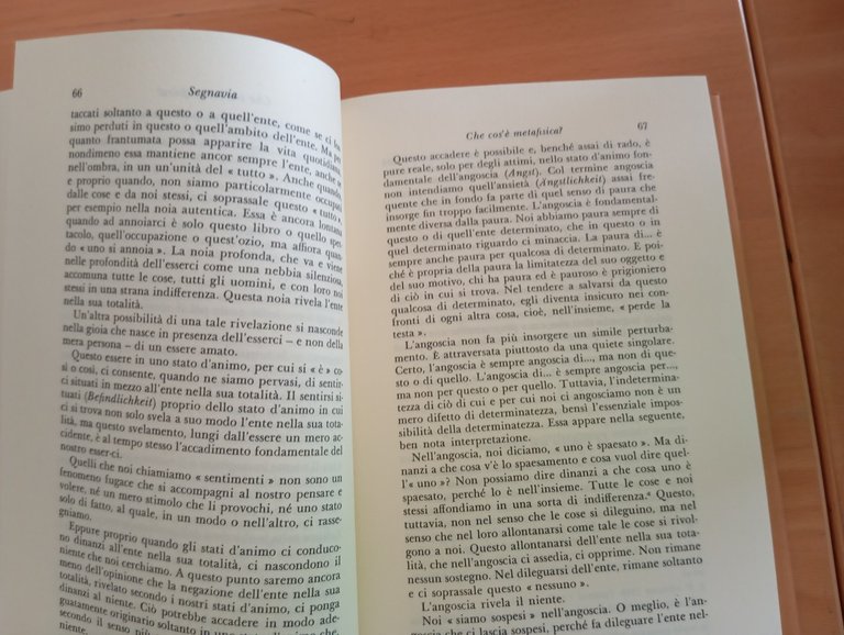 Segnavia, Martin Heidegger, Adelphi, 1994 | Immagine Gallery 10