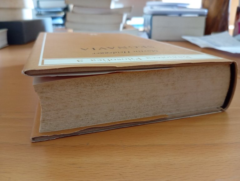 Segnavia, Martin Heidegger, Adelphi, 1994 | Immagine Gallery 4