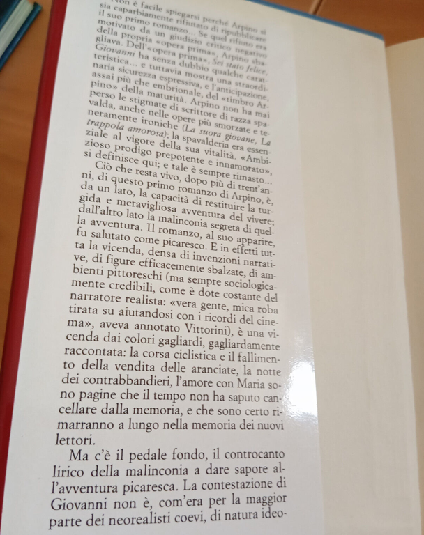 Sei stato felice, Giovanni, Giovanni Arpino, Rusconi, 1988