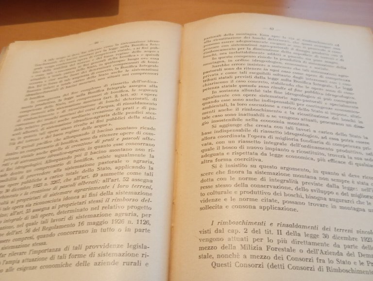 Selvicultura e alpicultura, Lorenzo Gori-Montanelli, 1939