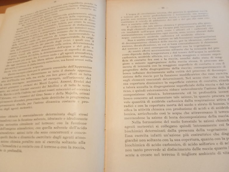 Selvicultura e alpicultura, Lorenzo Gori-Montanelli, 1939