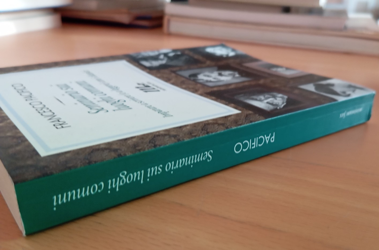 Seminario sui luoghi comuni, Francesco Pacifico, Minimum fax, 2012 | Immagine Gallery 2