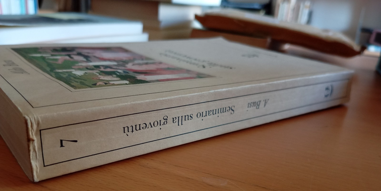 Seminario sulla gioventù, Aldo Busi, Adelphi, 1986