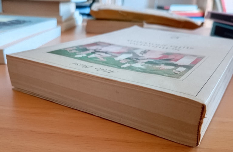 Seminario sulla gioventù, Aldo Busi, Adelphi, 1986