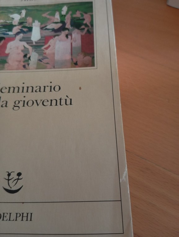 Seminario sulla gioventù, Aldo Busi, Adelphi, 1986