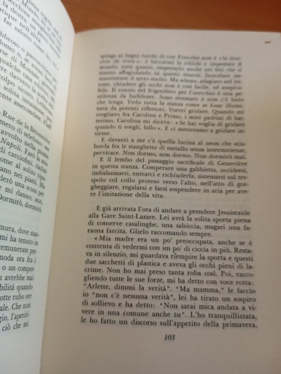 Seminario sulla gioventù, Aldo Busi, Adelphi, 1986