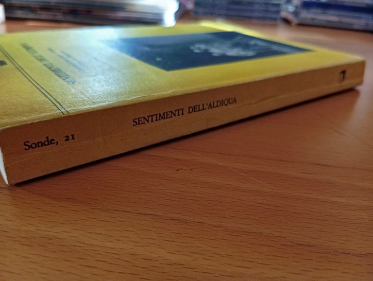 Sentimenti dell'aldiqua, Agamben Bascetta Starnone Virno Rossanda Ilardi, 1990