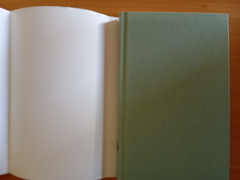 Slow Man, J. M. Coetzee, Einaudi, 2006 | Immagine Gallery 6