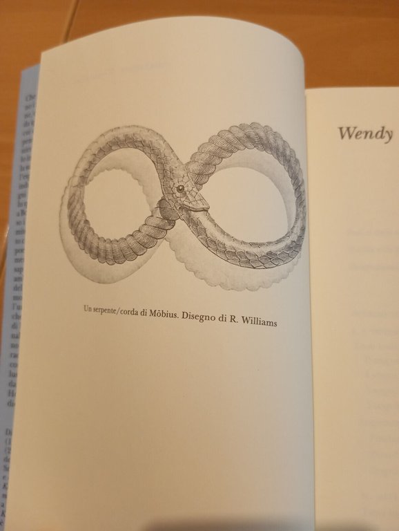 Sogni, illusioni e altre realtà, Wendy Doniger, Adelphi, 2005