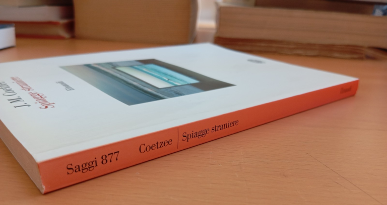 Spiagge straniere. Saggi 1993-1999, J. M. Coetzee, Einaudi, 2006 | Immagine Gallery 2