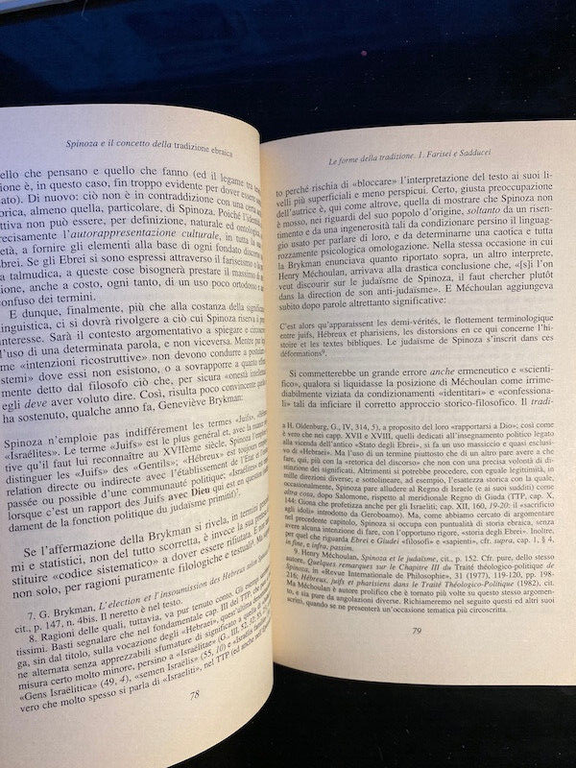 Spinoza e il concetto della tradizione ebraica, Mino Chamla, 1996, …