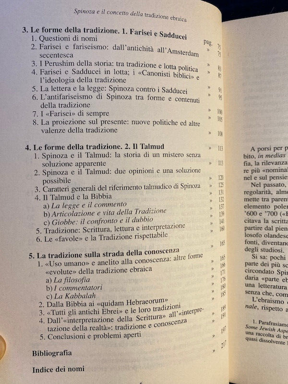 Spinoza e il concetto della tradizione ebraica, Mino Chamla, 1996, …