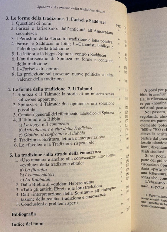 Spinoza e il concetto della tradizione ebraica, Mino Chamla, 1996, …