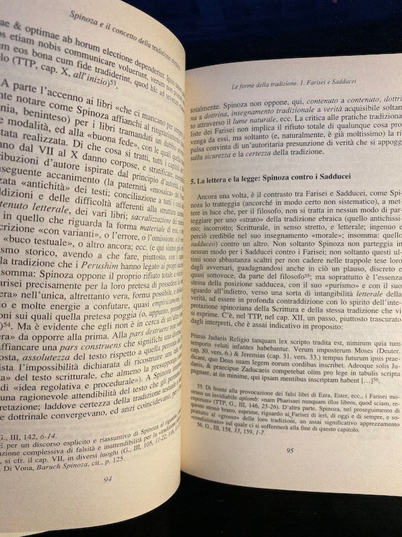 Spinoza e il concetto della tradizione ebraica, Mino Chamla, 1996, …