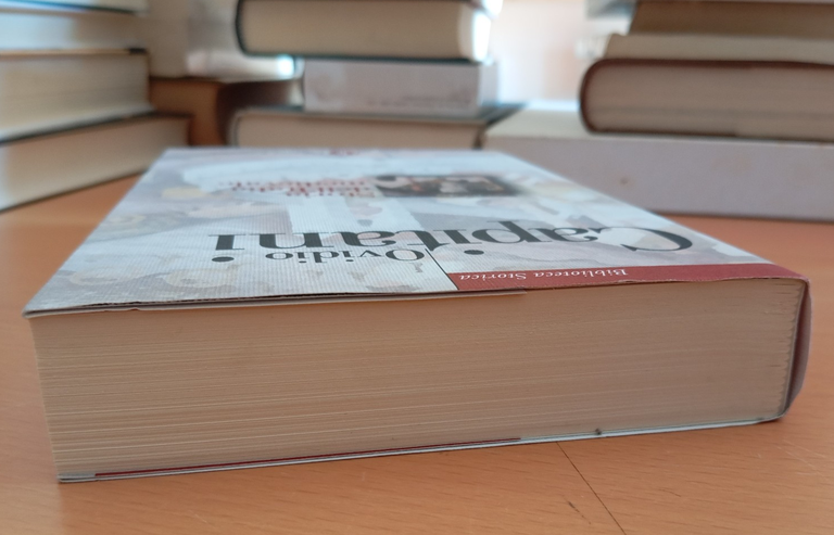 Storia dell'Italia medievale, Ovidio Capitani, Laterza, 2009 | Immagine Gallery 3