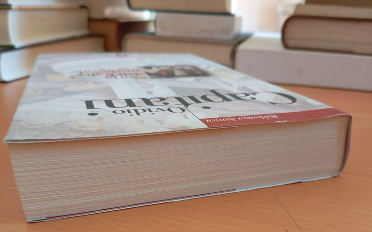 Storia dell'Italia medievale, Ovidio Capitani, Laterza, 2009 | Immagine Gallery 3